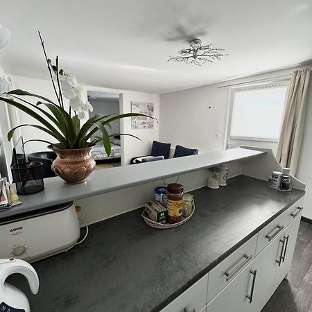 Appartement Detox Au Pied Du Semnoz Seynod Exteriér fotografie