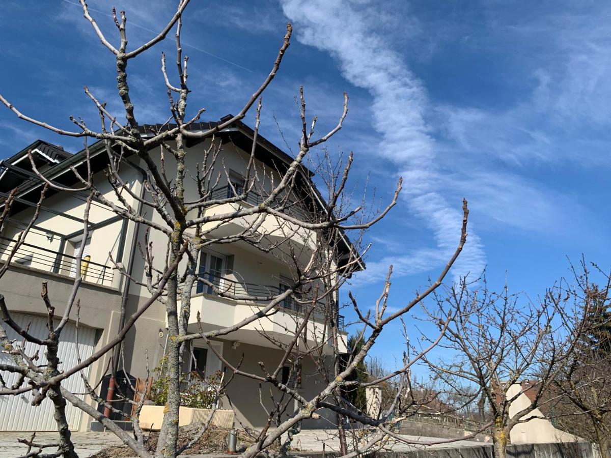 Appartement Detox Au Pied Du Semnoz Seynod Exteriér fotografie