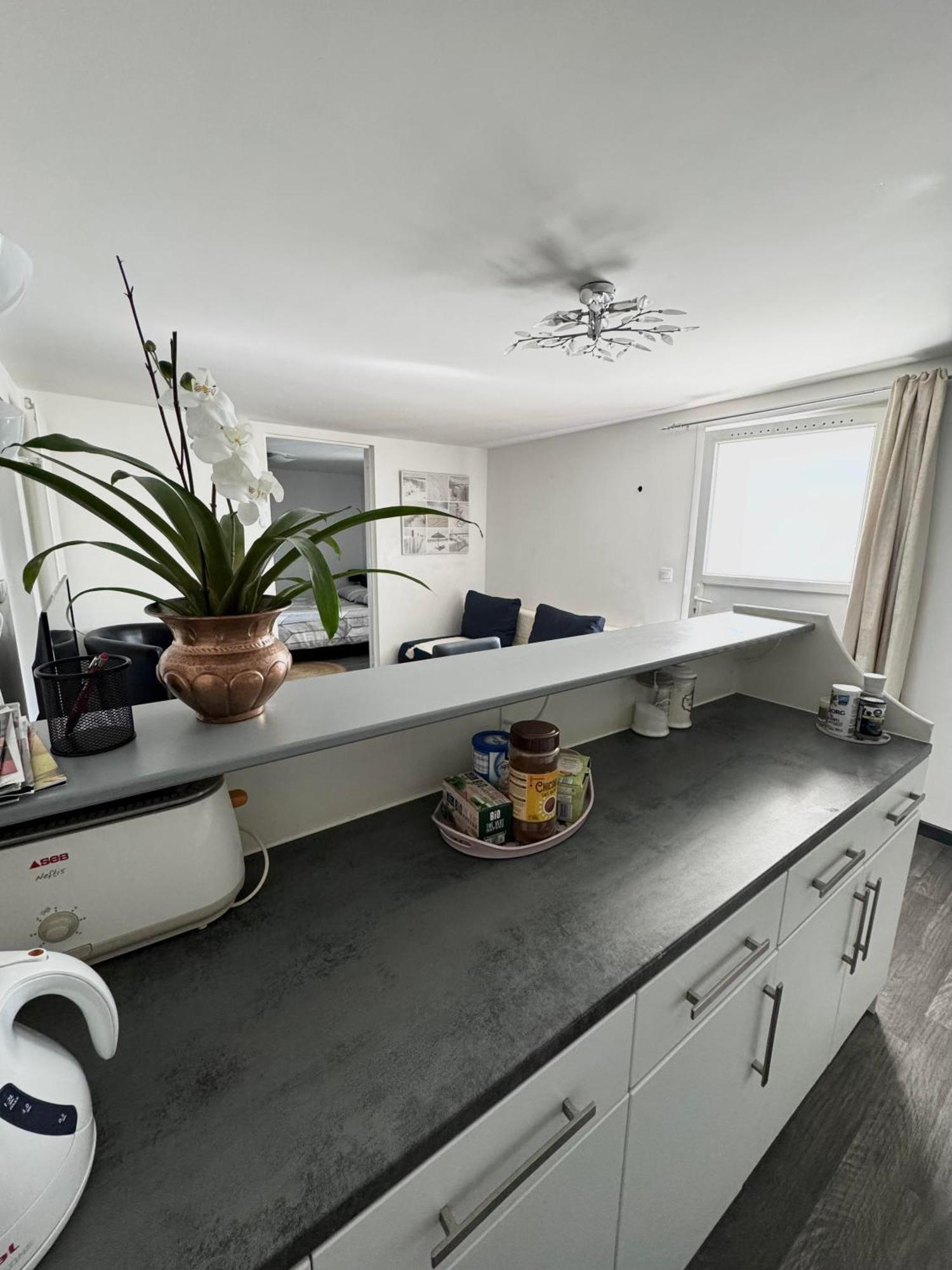 Appartement Detox Au Pied Du Semnoz Seynod Exteriér fotografie